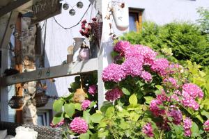 boutique camp THEA under the walnut, pitches FOR your own tent, OUTDOOR kitchen