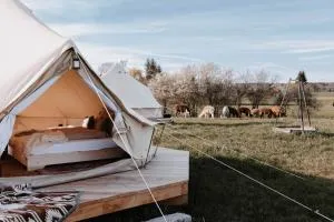 Golden Zelt Lebenshofalpakas - Walkertshofen
