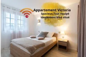 Appartement Victoria - 图尔内菲乌勒