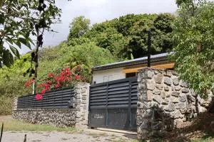 les trois salazes - 萨拉济