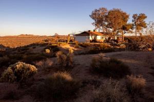 Mojave Stargazer by Open Air Homes- Live in Nature