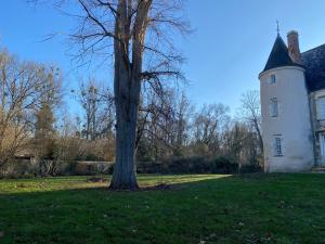 Maisons de vacances Chateau des Archeveques avec parc dans un village : photos des chambres