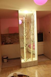 Pinky Belgrade Apartment