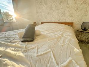 Appartements L-Absolu Revy - Paris - Orly - RER C : photos des chambres