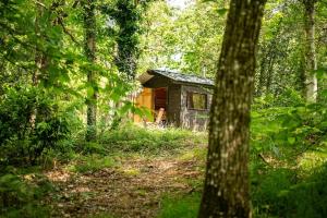 Maisons de vacances Entre Mer et Nature - Bain nordique et sauna : photos des chambres