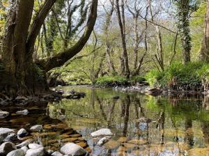Crib Goch Cozy Dog-friendly Cabin Retreat