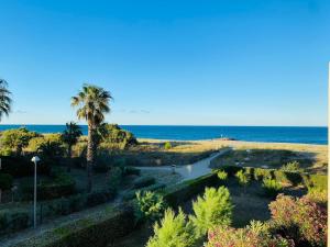 Studio sur plage avec piscine et balcon vue mer