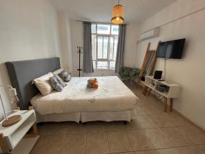 Maipu Apartment Studio