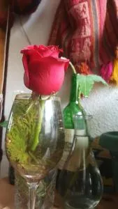 Quetzalli - Mexico by