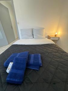 Appartements 130m T4 garden and car parks - Stade-Eurexpo-Lyon : photos des chambres