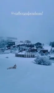 Studio lumineux avec vue et accès sur les pistes ! Coup de coeur - Valberg