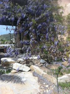 Perivoli House Ios Greece