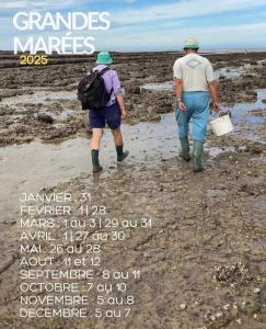 Appartements Les Bains de Mers : Studio Standard