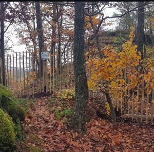 B&B / Chambres d'hotes Les Chambres - Au Gres du marche : photos des chambres