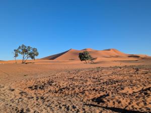 Sania Luxury Camp