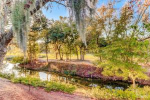 The Happy Turtle Villa - Devonshire 205