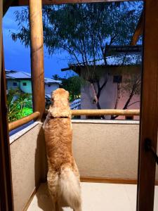 Casa temporada, Vento Leste, Imbassaí