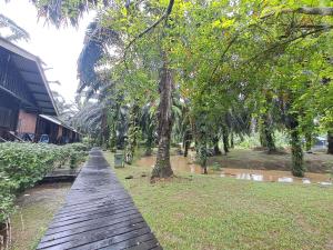 Sukau Backpackers Bed & Breakfast