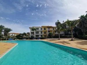 Stay, laugh, repeat! - Palmeira