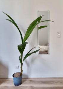 La Savane de VICHY - 4 min GARE