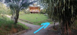 Studio Pilon De Pavones