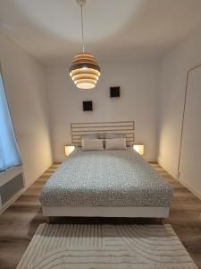 La Savane de VICHY - 4 min GARE