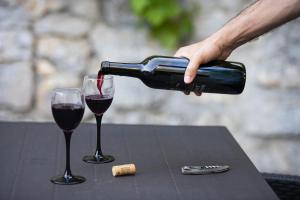 Jégmadár Vendégház Varbó