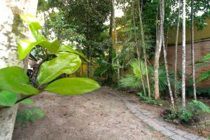 Refúgio das Toninhas - Pé na areia