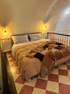 Jacupeddus house