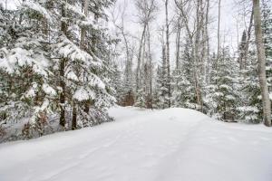 Nashwauk Studio with Ice Fishing on South Fork Lake