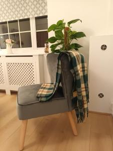 Good Charming Apartment