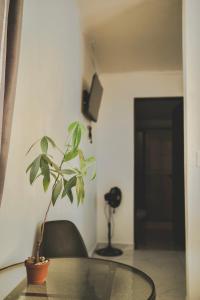 Global House Apartamento 2