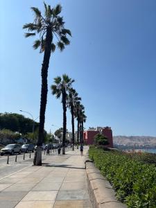 Modern apartment in Barranco
