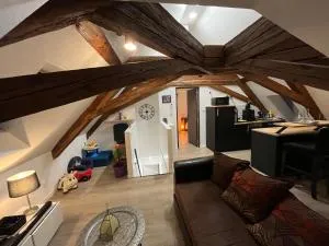 Appartement 2 pièces atypique - 希尔蒂盖姆