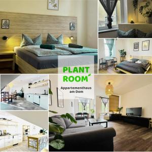 Apartmenthaus am Dom - Zentrum & Ruhige Lage, Perfekt für Business Trip, Auch für Familie, Viel Platz mit Küche