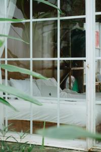 House with flowers, beautiful sunshine, geese and birds