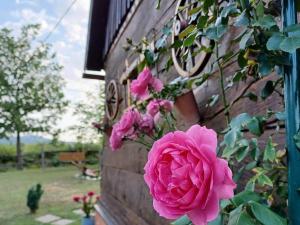 Stara Hi a Vla i - Duplex one bedroom Chalet with Private Garden