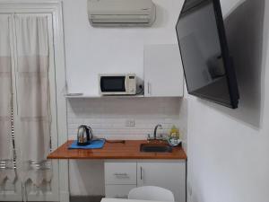 Departamento Mono Ambiente