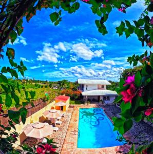 Divers Lodge Plumeria