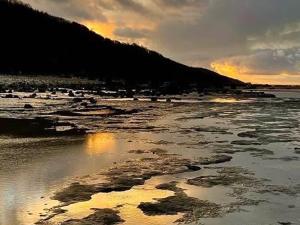 Appartements Charmant 2 pieces a 2 pas de la plage avec loggia - tout confort - FR-1-712-9 : photos des chambres