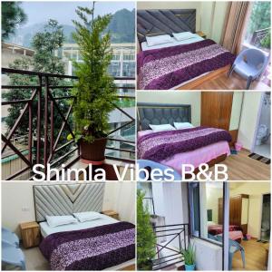 Shimla Vibes B & B free pick and from ISBT Shimla