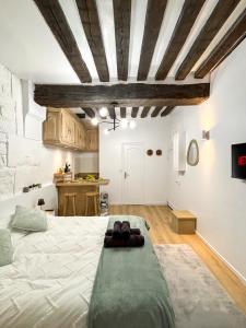 Le Columba-Studio Parisien Saint-Germain