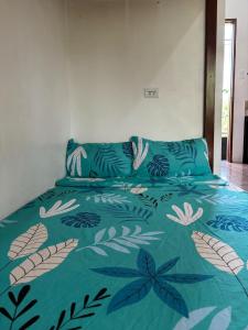 Budget AC WI-FI Natl Road Ligao City Rm306