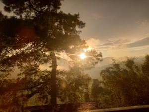 Gias Baguio Transient House