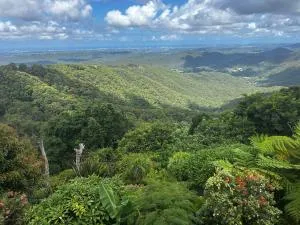 Green Cauldron, Homestay, Tamborine Mountain, Private Room, Ensuite, Private Courtyard, Gold Coast Views - Canungra
