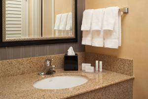 One-Bedroom King Suite room in Courtyard by Marriott Detroit Warren