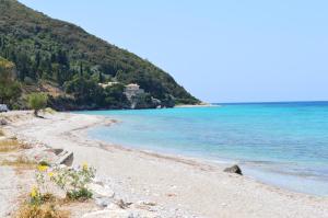 Brunello Seaside Apartments Lefkada Greece