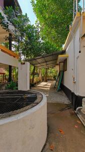 Funky Garden Bed and Breakfast