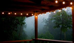 Paseo Por Las Nubes Birding Lodge