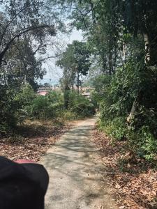 Apartment On The Mountain